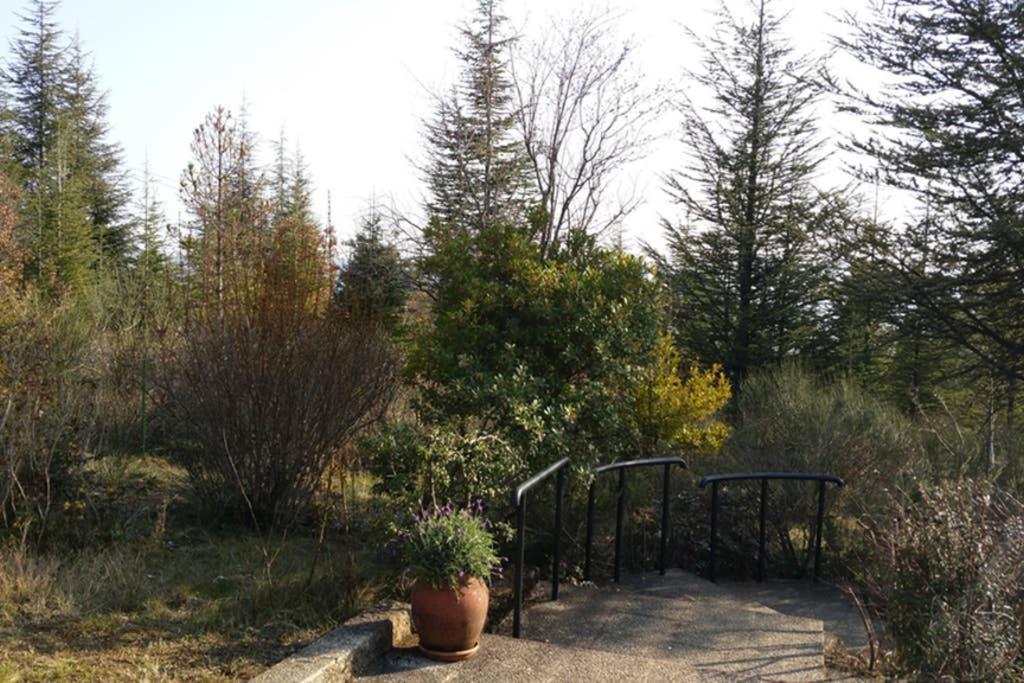 Villa La Lurette, Appartement Et Studio Saint-Etienne-les-Orgues Ngoại thất bức ảnh